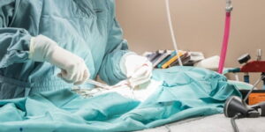 veteriner cerrahi - Beylikdüzü Veteriner