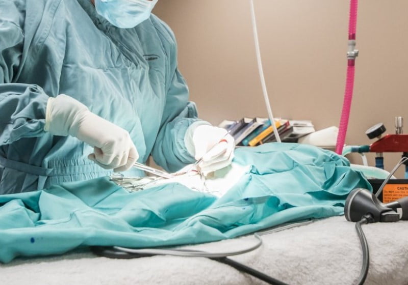 veteriner cerrahi ameliyatlar