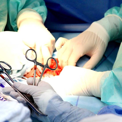 veteriner cerrahi ameliyatlar, kırık ameliyatı